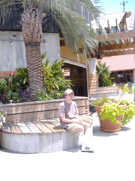 Miike parked in front of a palm tree next to the Margaritaville outdoor bar.jpg